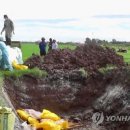 베트남돼지 연합뉴스