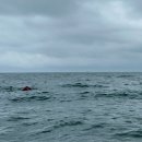 해돋이2농장 이미지