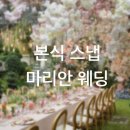25년 어두운 홀 본식 스냅 &#34;마리안웨딩&#34; 계약 후기 (+짝꿍 구해요)