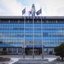 완도17호 이미지