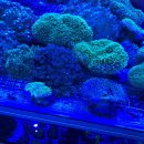 신반포로45길 59 이미지