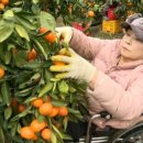 재준농장 이미지