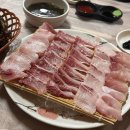 경포카써비스 이미지