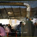 나주개미집 이미지