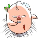 신돈지메