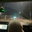 샵펫 강아지분양 울산점 이미지