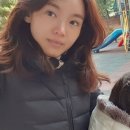 법무법인오름