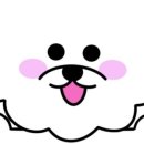 스프링댕댕 이미지