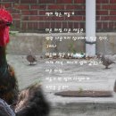 새녹십자약국 이미지