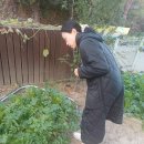 정다운어린이집 | [재미난어린이집] 25년도 엄마모임 후기 | 강동구 어린이집 | 강동어린이집 | 하남미사 어린이집