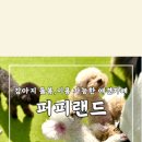 퍼피랜드 애견카페 이미지