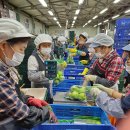 문경거점산지유통센터 이미지