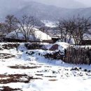 고향콩나물밥 이미지