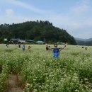 메밀꽃필무렵(전) 이미지