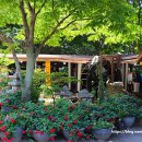 물레방아식당 이미지