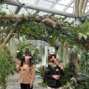 보문관광단지 | [경주] 튤립명소 동궁원 라원 보문관광단지 실내 식물원 방문후기 '경주동궁원'