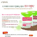 도그카페 네이버블로그