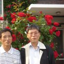 일월보건지소 이미지