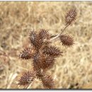 승기천 신연수역 이미지