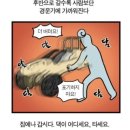 모임필라테스 일산점 l 라페스타 필라테스 센터 추천 1:4 그룹수업 후기