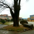 관산교 Daum카페