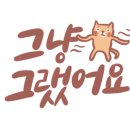 본가안동국시 이미지