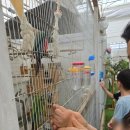 병설농장 이미지