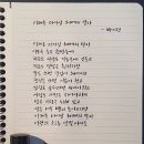 더바이런 이미지