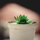 대중목욕탕 이미지