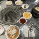 원시쪽갈비 수원망포점 네이버블로그