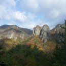청송 Daum카페