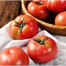 토마토 이미지