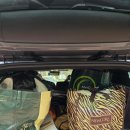 A8 | 파주캠핑장- 야호캠핑장 A7-A8 사이트 이용후기(분리수거장 옆)