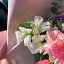 [대전 꽃집] 대전둔산꽃집 비올레뜨 / 소형 꽃다발 후기