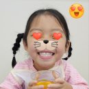 예일키즈어린이집 | 키즈브라운 1년 다녀본 후기