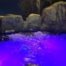 설악워터피아실외수영장 이미지