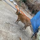 인창2로 이미지