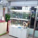 개똥아부탁해 이미지