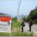 양지-14 이미지