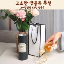 매일방앗간 | 고래방앗간 고소한 땅콩유 샐러드 드레싱 후기