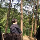 병목안캠핑장 이미지