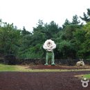 제주현대미술관 이미지