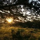 해돋이농장 이미지