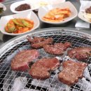 초원정육점 이미지