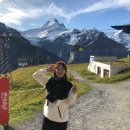 270-2005 | 70개 나라 여행 중 스위스 자유여행 그린델발트 숙소 샬레 추천