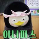 이너피스 이미지