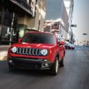 이글지프 이미지