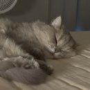 24시 봉담동물의료센터 이미지