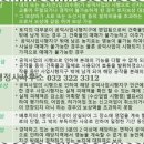 연세 상담 행정사 사무소 네이버블로그