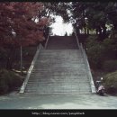 광주공원 현충탑 옆 이미지